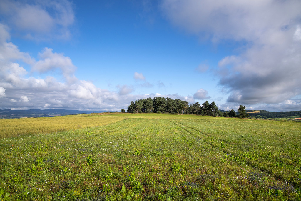 lentilles-salette-6.-Photo-Vincent-Jolfre