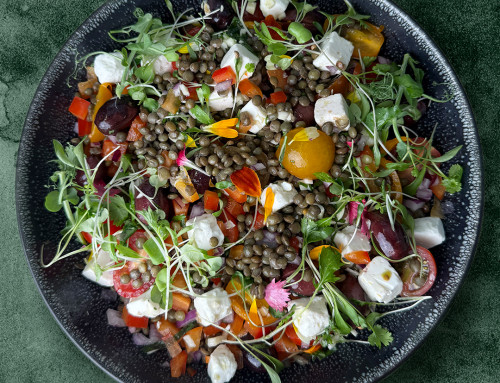 Salade estivale de Lentille Verte du Puy